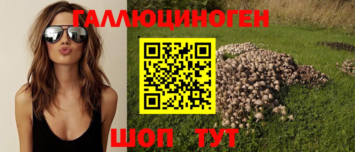 Лениногорск  купить наркотики сайты  Вход с VPN  Псилоцибиновые грибы Magic Shrooms 