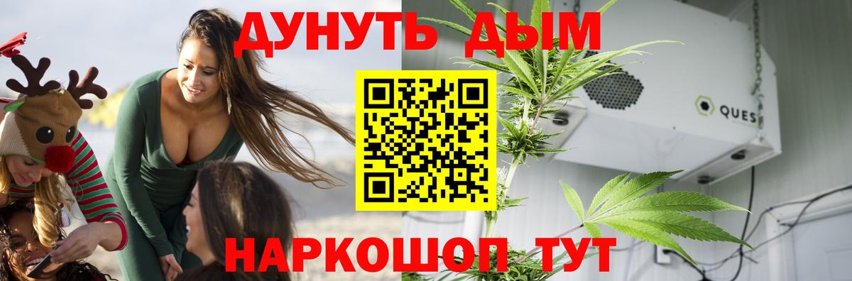 Бошки Шишки Ganja  Бошки Шишки THC 21%  МАРИХУАНА ГИДРОПОН  Вход с VPN  Лениногорск  Бошки Шишки план 